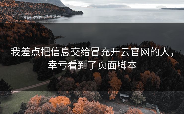 我差点把信息交给冒充开云官网的人，幸亏看到了页面脚本