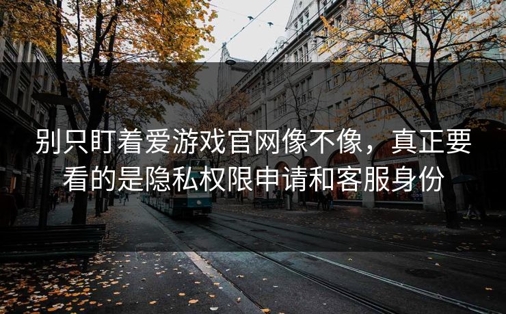 别只盯着爱游戏官网像不像，真正要看的是隐私权限申请和客服身份