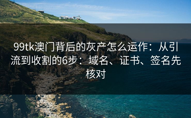 99tk澳门背后的灰产怎么运作：从引流到收割的6步：域名、证书、签名先核对