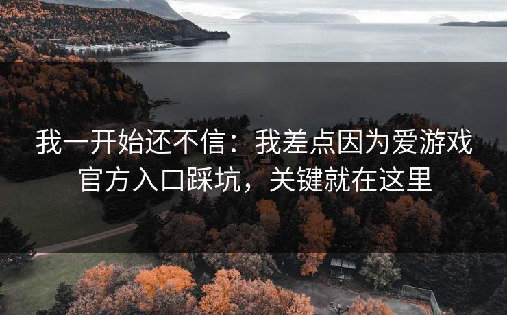 我一开始还不信：我差点因为爱游戏官方入口踩坑，关键就在这里