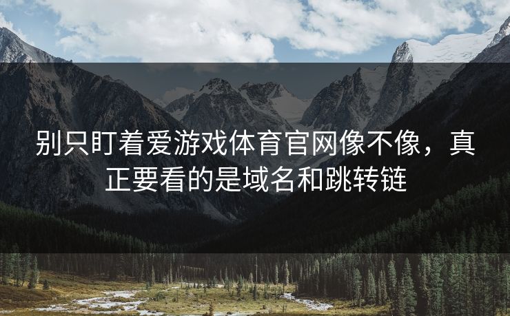 别只盯着爱游戏体育官网像不像，真正要看的是域名和跳转链