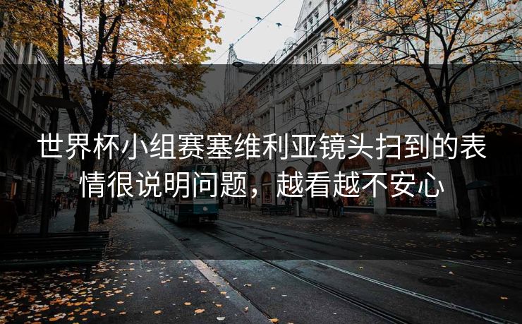 世界杯小组赛塞维利亚镜头扫到的表情很说明问题，越看越不安心