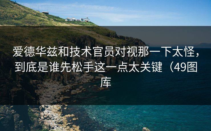 爱德华兹和技术官员对视那一下太怪，到底是谁先松手这一点太关键（49图库