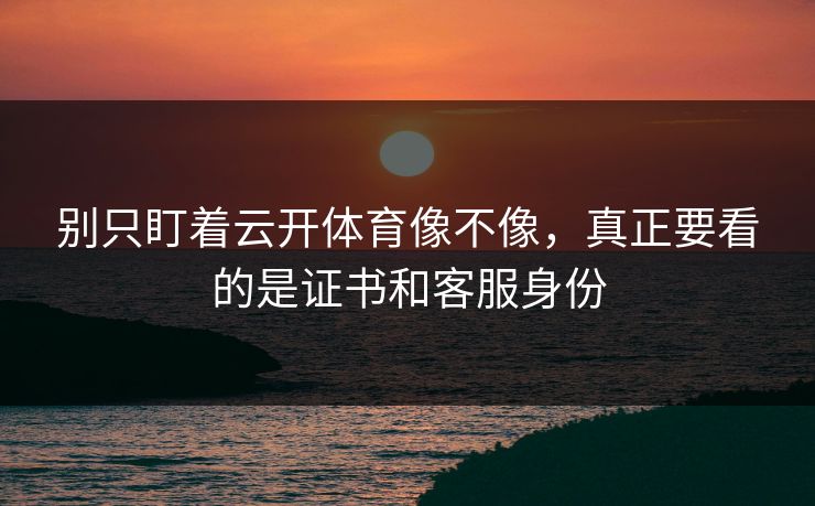 别只盯着云开体育像不像，真正要看的是证书和客服身份