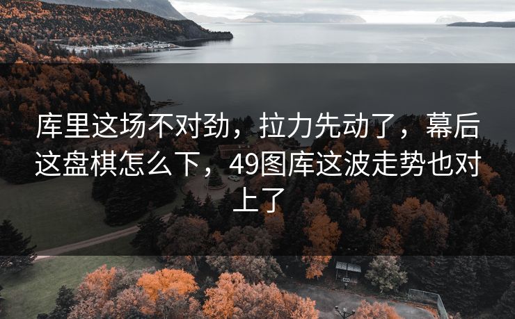 库里这场不对劲，拉力先动了，幕后这盘棋怎么下，49图库这波走势也对上了